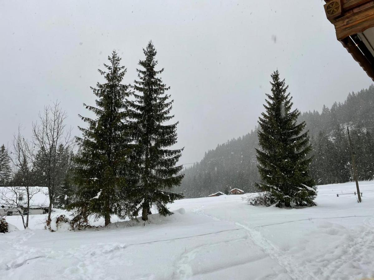 Al Cervo Albergo - Hotel Stabiziane ภายนอก รูปภาพ
