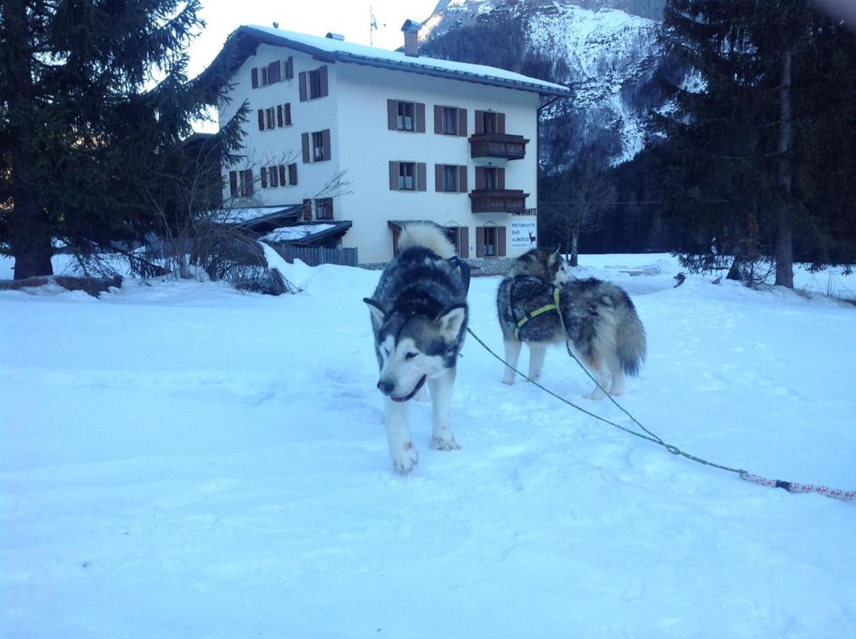 Al Cervo Albergo - Hotel Stabiziane ภายนอก รูปภาพ